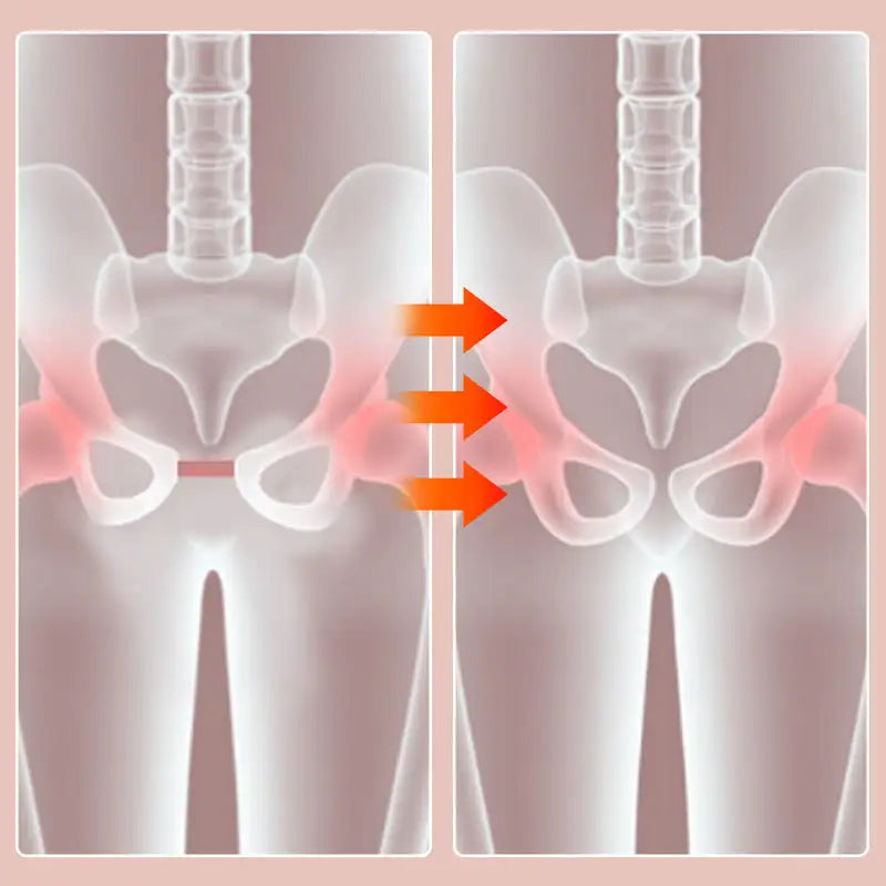 Pelvic Floor & Thigh Exercise Trainer